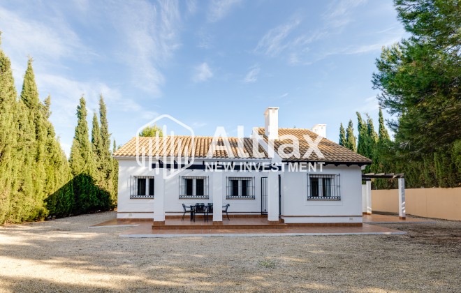 detached - New Build - Fuente Alamo - Fuente Alamo