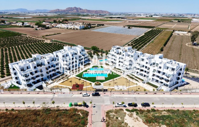 New Build - apartment -
Torre-Pacheco