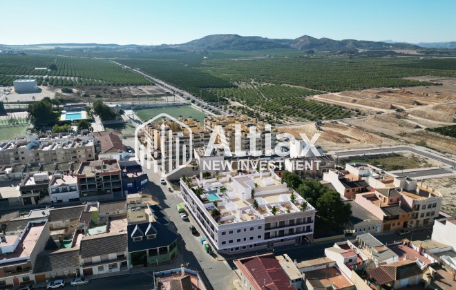 New Build - apartment -
Algorfa