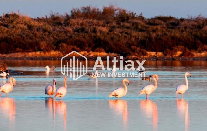 Nouvelle construction - detached -
San Pedro del Pinatar