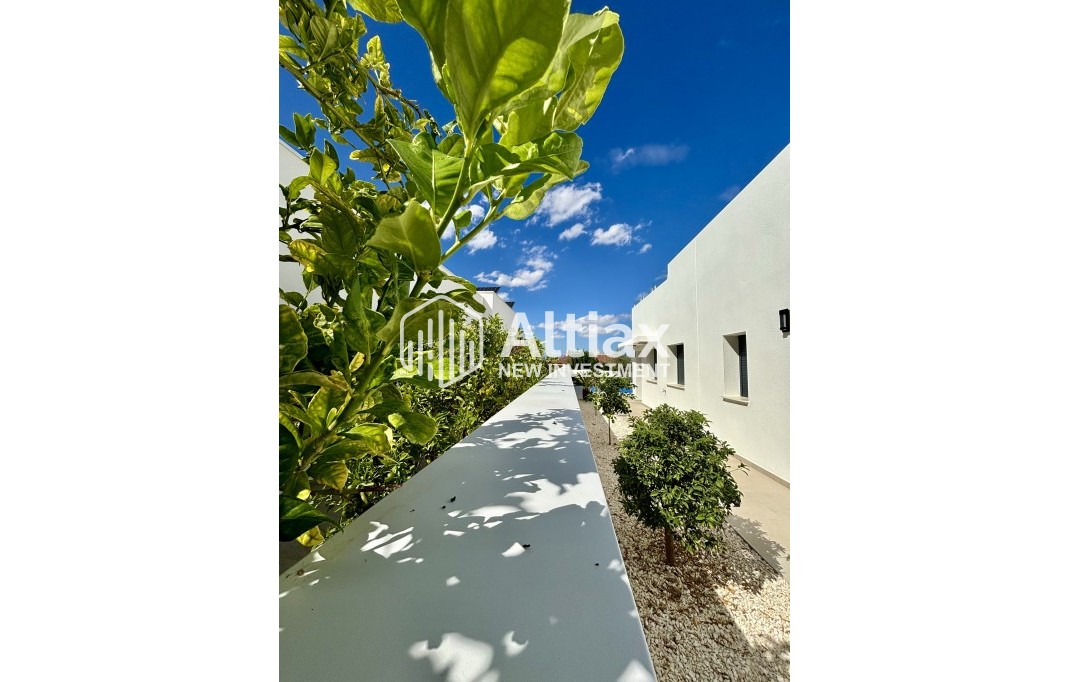 Nouvelle construction - detached -
Benijofar