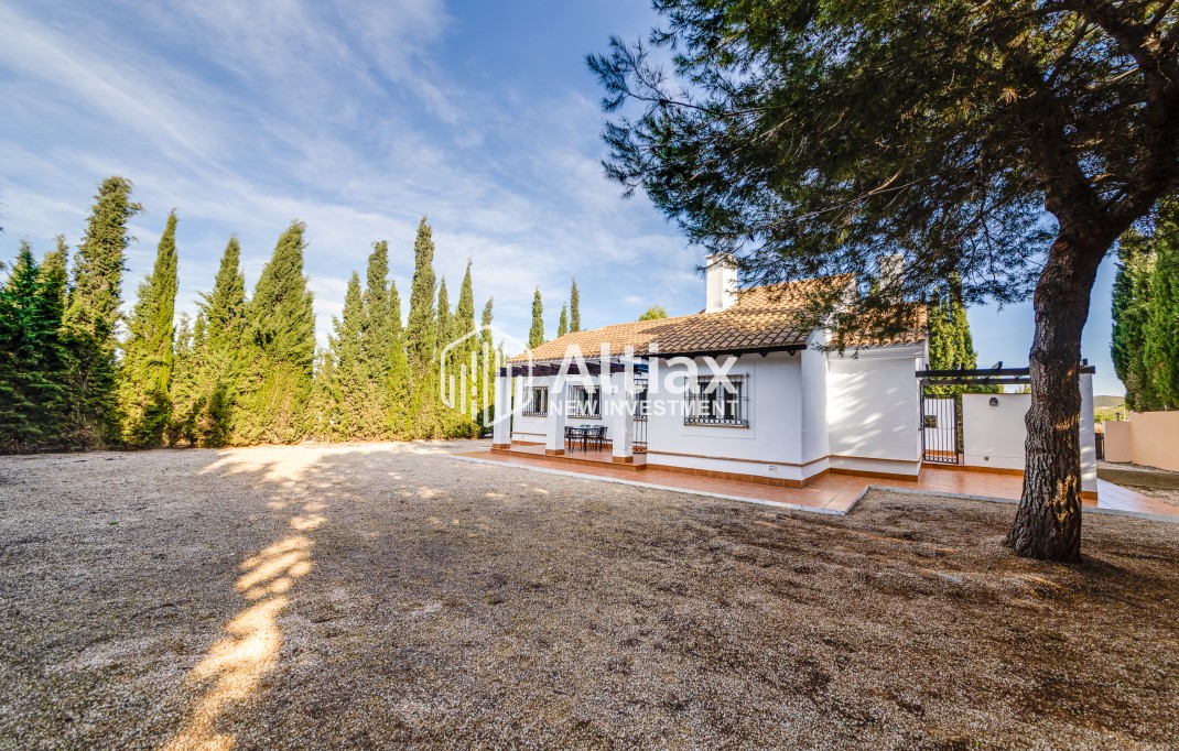 Nouvelle construction - detached -
Fuente Alamo