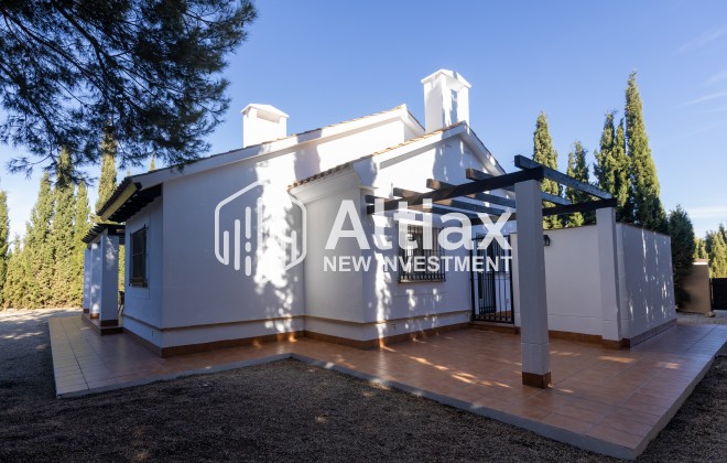 Nouvelle construction - detached -
Fuente Alamo