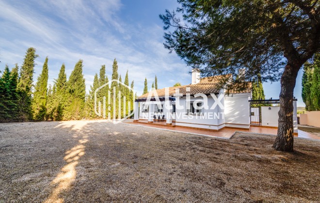 Nouvelle construction - terraced -
Fuente Alamo